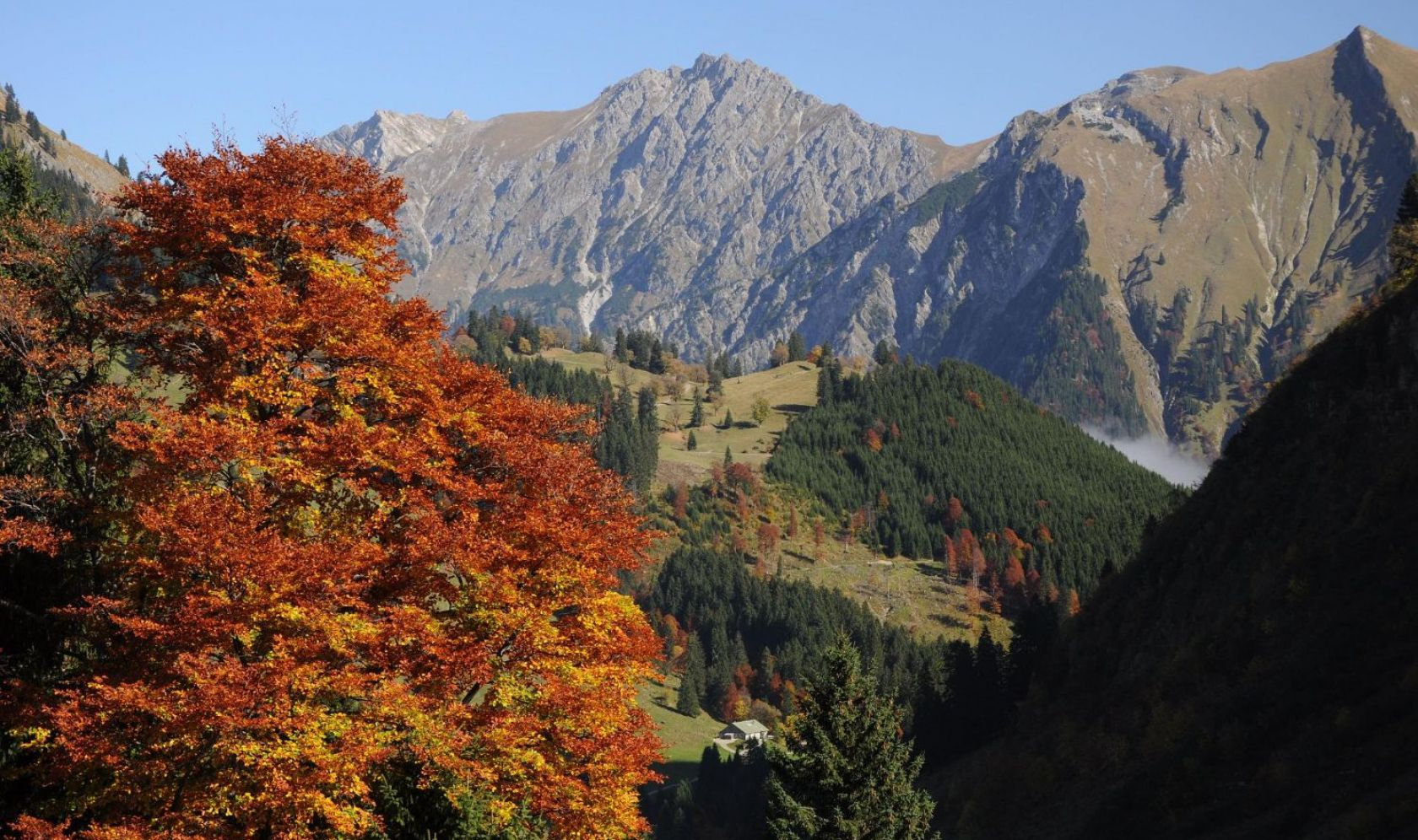 Herbst1
