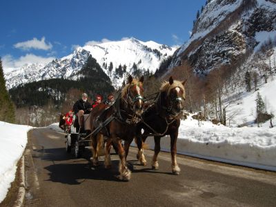 Romantische Kutschfahrt<br />
ins Giebelhaus